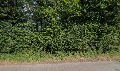 Fidosfun Field (Bradfield) — secure enclosed dog field in Berkshire