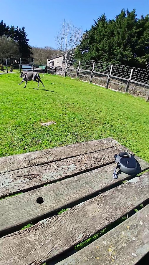 Grassgarth Kennels - Dog Agility Field — secure enclosed dog field in Kendal, Cumbria