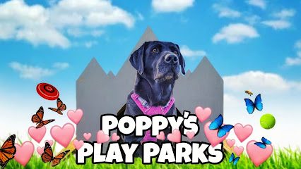 Poppy's Play Parks — secure dog field in Dover