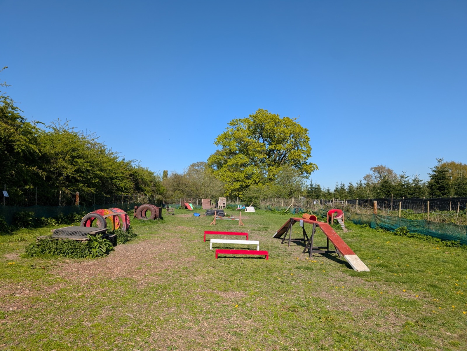 Towpath Tails Dog Park — secure dog field in Marlborough