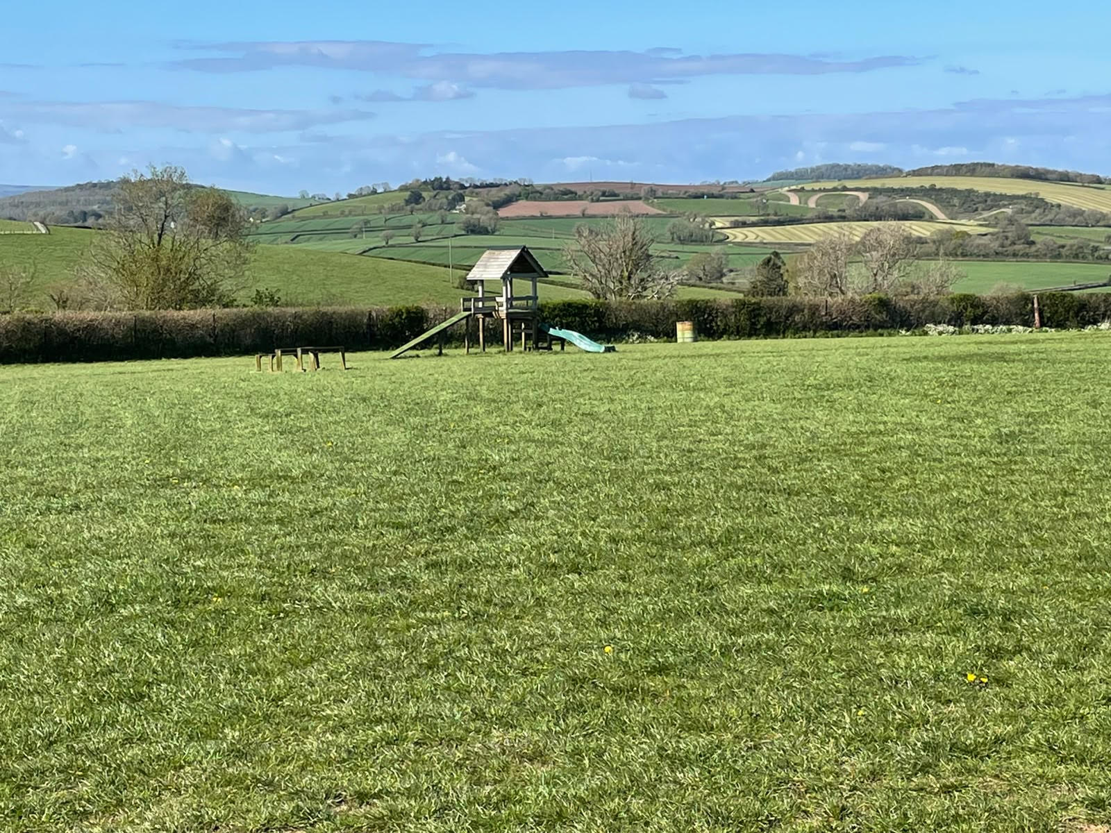 Wanderlust Walkies — secure dog field in Totnes